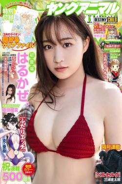 花溪记电视剧免费观看完整版策驰
